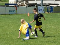 U7 U8 Turnier 13052017 (30)